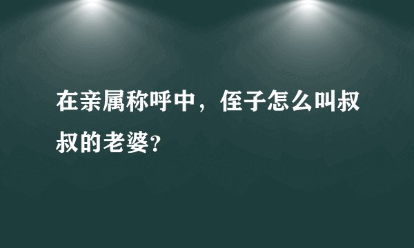 在亲属称呼中，侄子怎么叫叔叔的老婆？