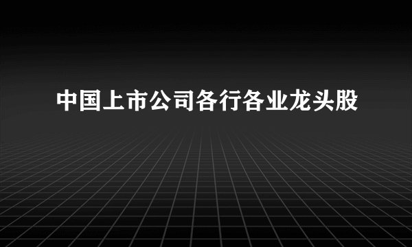 中国上市公司各行各业龙头股