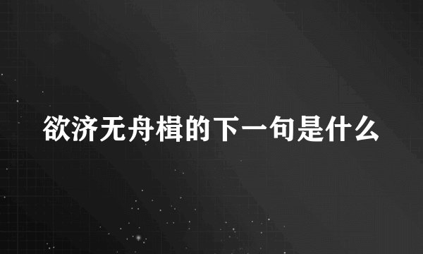 欲济无舟楫的下一句是什么