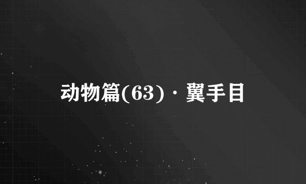 动物篇(63)·翼手目