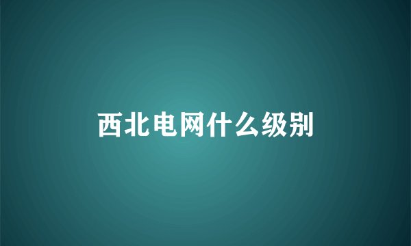 西北电网什么级别