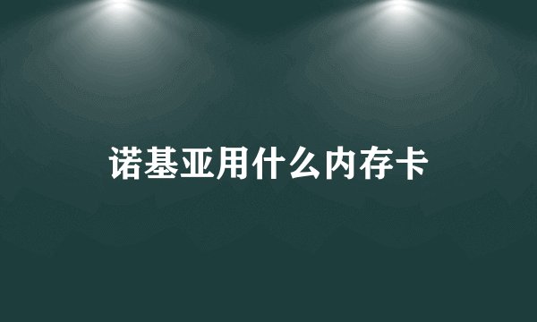 诺基亚用什么内存卡