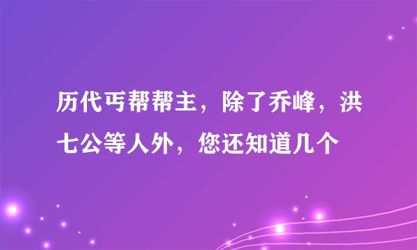 历代丐帮帮主，除了乔峰，洪七公等人外，您还知道几个