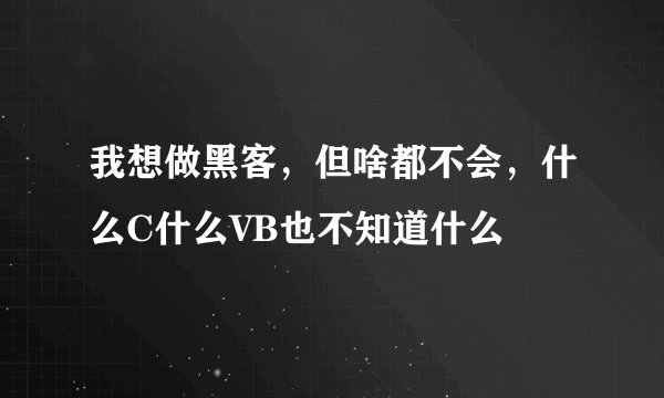 我想做黑客，但啥都不会，什么C什么VB也不知道什么