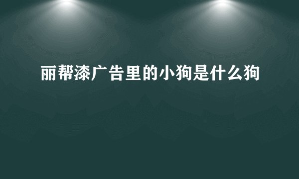 丽帮漆广告里的小狗是什么狗
