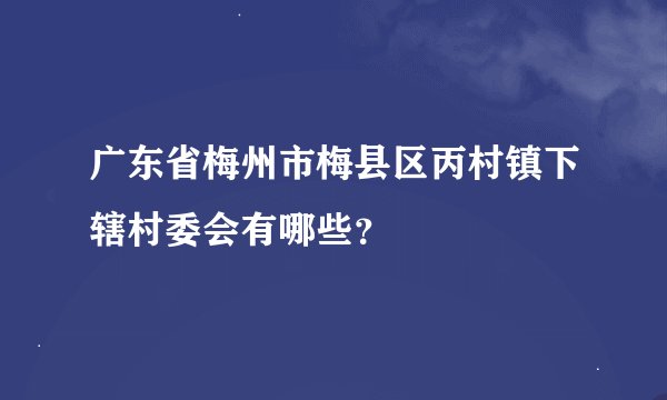 广东省梅州市梅县区丙村镇下辖村委会有哪些？