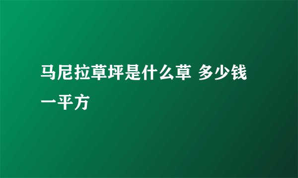 马尼拉草坪是什么草 多少钱一平方