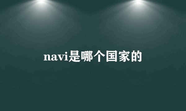 navi是哪个国家的