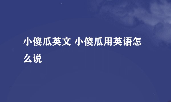 小傻瓜英文 小傻瓜用英语怎么说
