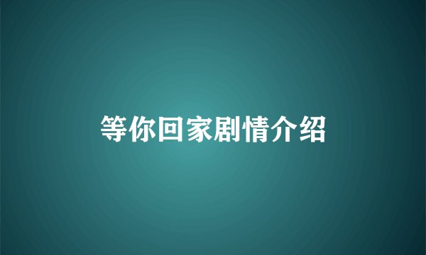 等你回家剧情介绍