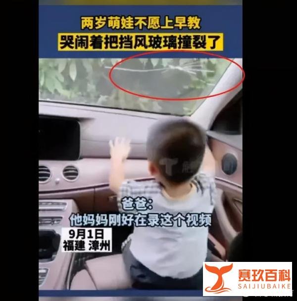 2岁萌娃不愿上早教撞裂挡风玻璃！想明白这些前，千万别报早教班