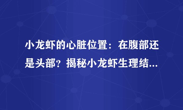 小龙虾的心脏位置：在腹部还是头部？揭秘小龙虾生理结构的小秘密