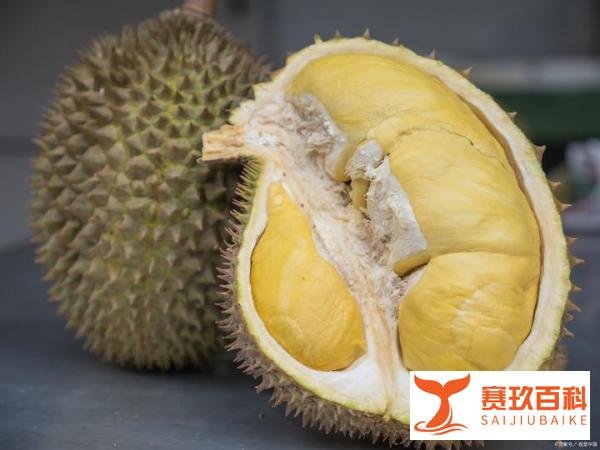 杭州榴莲价格大跳水!从300元跌至半价,吃货们有福了!