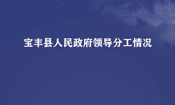 宝丰县人民政府领导分工情况