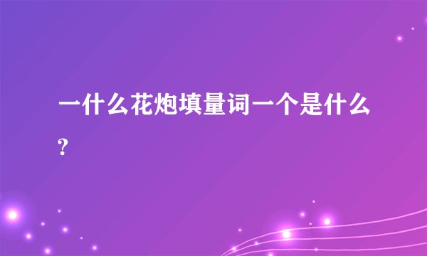 一什么花炮填量词一个是什么?