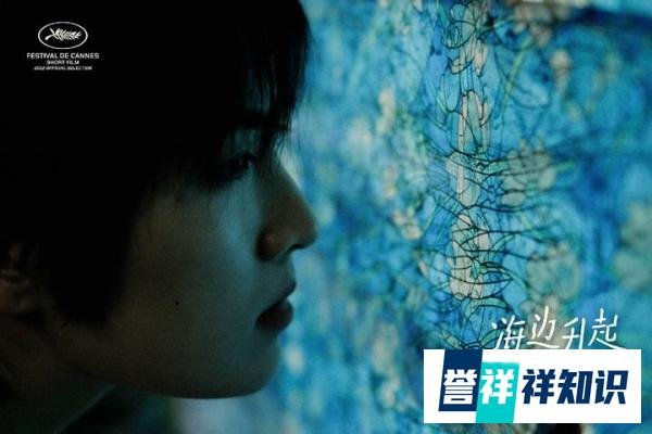 姚安娜主演首部文艺短片电影《海边升起一座悬崖》入围戛纳电影节