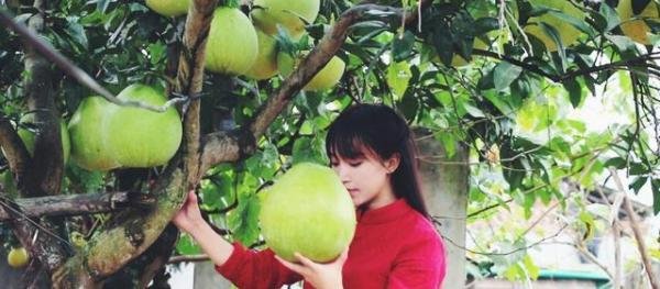 李佳琦年赚2亿,李子柒1.6亿?网红成功背后,谁的成功都不能复制
