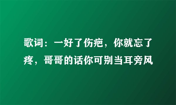 歌词：一好了伤疤，你就忘了疼，哥哥的话你可别当耳旁风