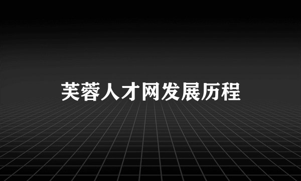 芙蓉人才网发展历程