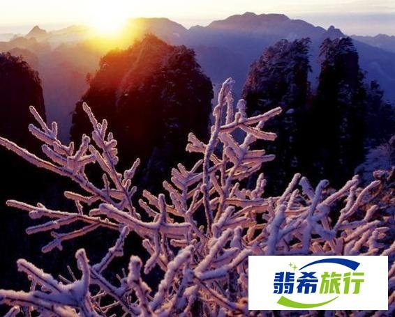 2023张家界景点门票价格详情，张家界景区门票优惠政策