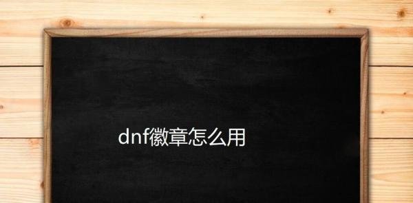 dnf徽章怎么用