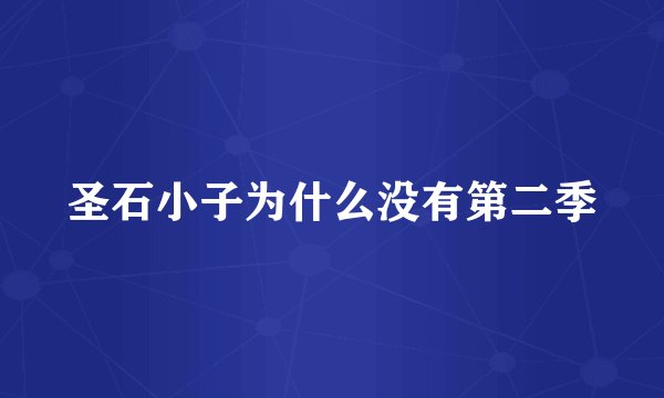 圣石小子为什么没有第二季