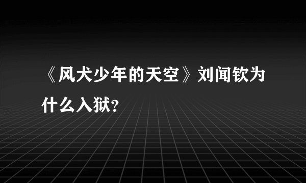 《风犬少年的天空》刘闻钦为什么入狱？