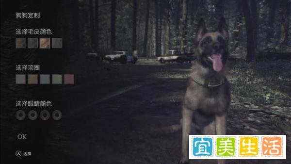 《女巫布莱尔》评测:毛骨悚然的心灵恐惧体验!