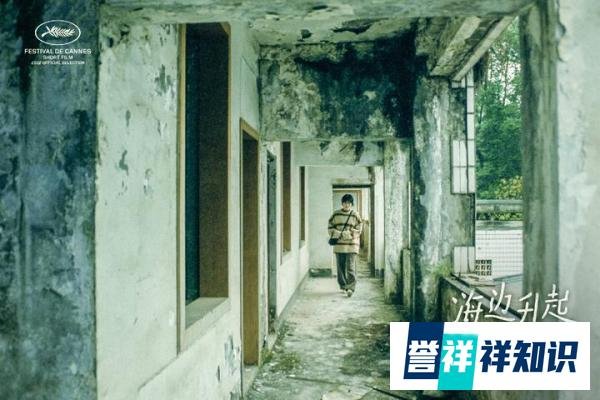姚安娜主演首部文艺短片电影《海边升起一座悬崖》入围戛纳电影节