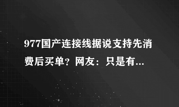 977国产连接线据说支持先消费后买单？网友：只是有机会而已