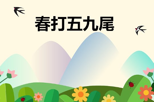 春打五九尾有什么说法