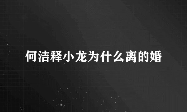 何洁释小龙为什么离的婚