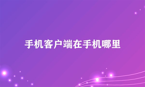 手机客户端在手机哪里