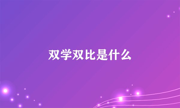 双学双比是什么