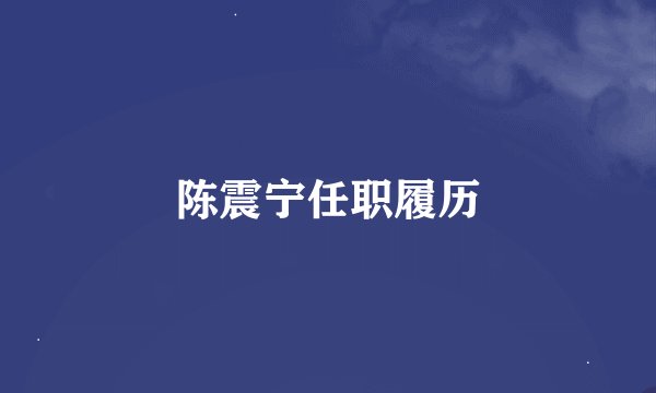 陈震宁任职履历