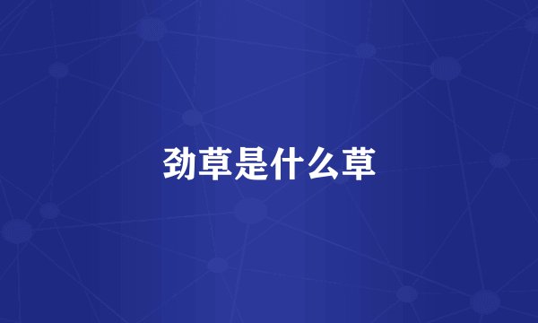 劲草是什么草