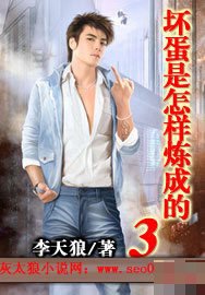 坏蛋是怎样炼成的之风云再起3电视剧