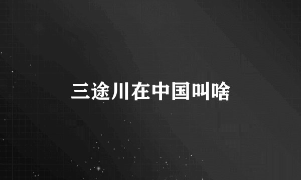三途川在中国叫啥