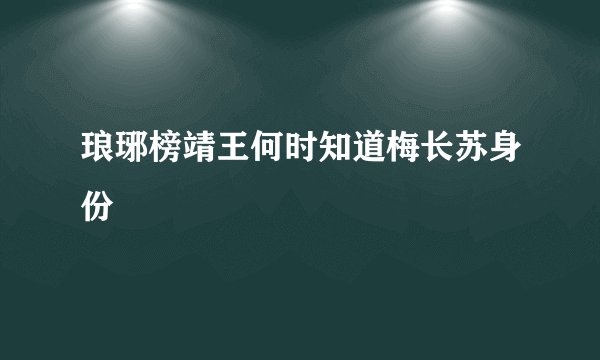 琅琊榜靖王何时知道梅长苏身份