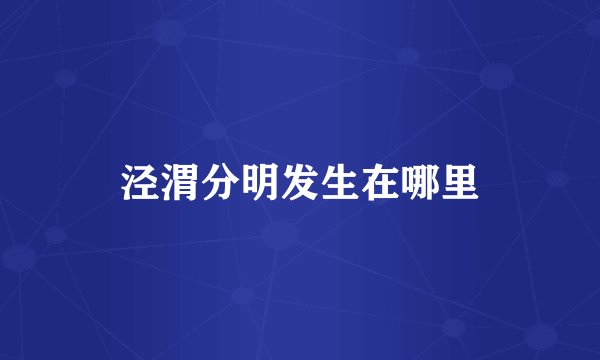 泾渭分明发生在哪里