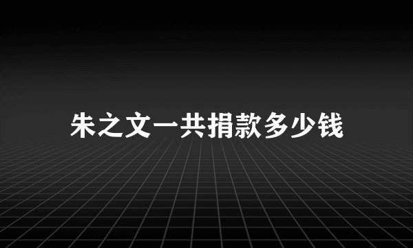 朱之文一共捐款多少钱