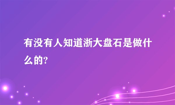 有没有人知道浙大盘石是做什么的?
