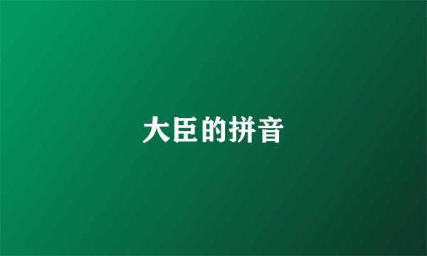 大臣的拼音