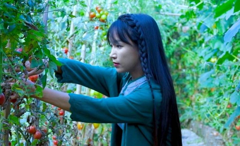 被“捧杀“的李子柒，停更已一年，她的现状到底有多惨？