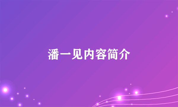 潘一见内容简介