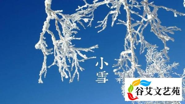 时令