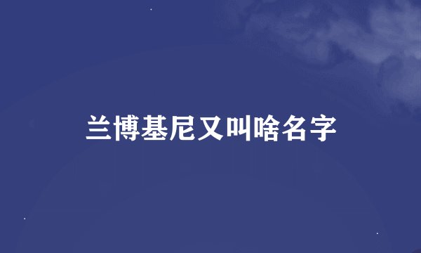 兰博基尼又叫啥名字