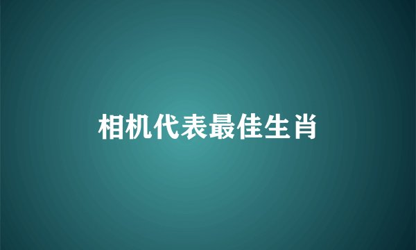 相机代表最佳生肖