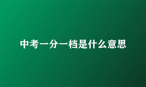 中考一分一档是什么意思
