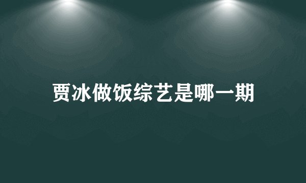 贾冰做饭综艺是哪一期